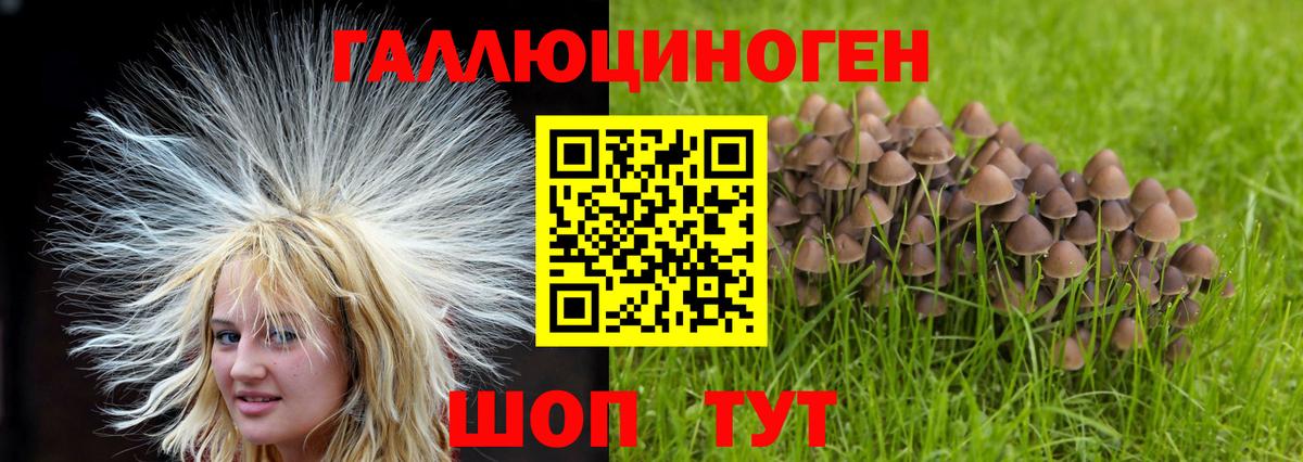 Марихуана Каменка