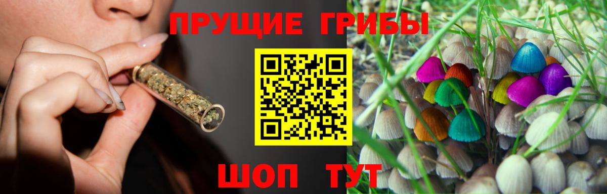 Каменка  как найти наркотики  Вход с VPN  Галлюциногенные грибы мицелий 